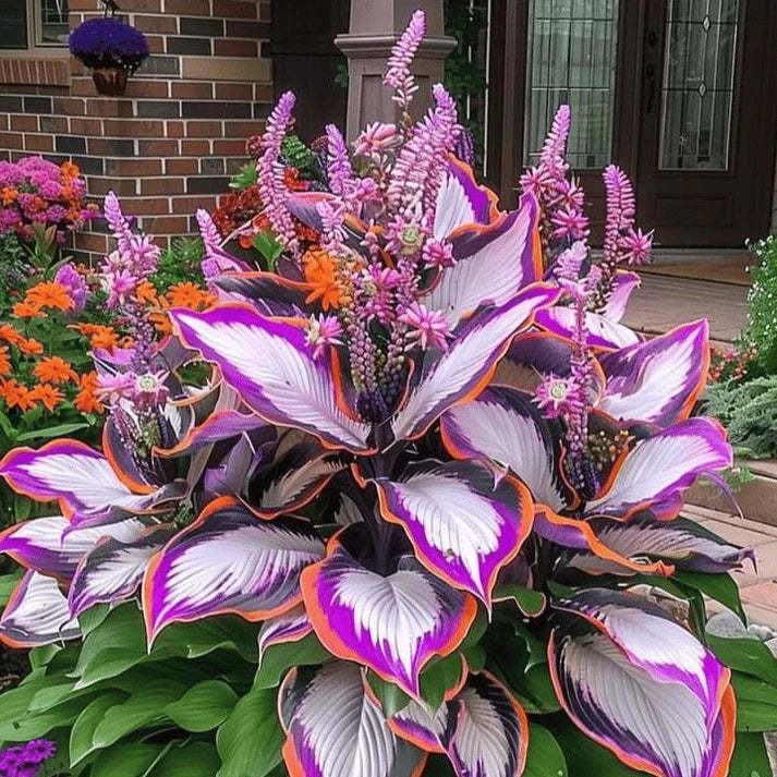 VerdureVibe™ Rare Hosta Seeds — Turn Shady Spots into Your Own Lush, Vibrant Garden Escape