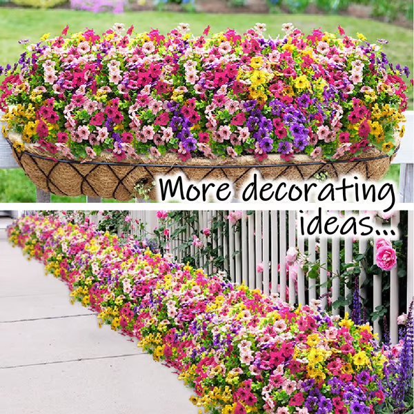 VivaFlora™ — Endless Blooming Beauty That Brightens Every Day Without Effort