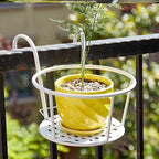 Lumecrest™ — Make Your Plants the Center of Attention Without the Hassle