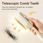 Hydrallure™ Spray Air Cushion Massage Comb — Unlock Silky, Stress-Free Hair That Radiates Confidence