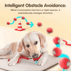 PawSpin Smart Interactive Rolling Ball™ — Ignite Endless Adventure and Joy in Every Play Session