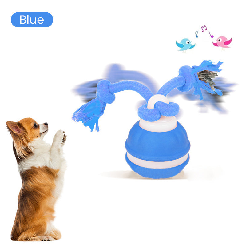 ProwlPulse™ — Unleash Your Cat’s Inner Hunter for Endless Thrilling Play