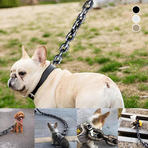 ChicPaw™ — Unleash Stylish Freedom and Confidence on Every Walk