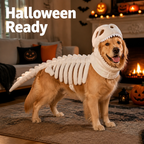 DinoGlee™ — Make Your Pup the Halloween Star in Comfy, Photo-Worthy Style