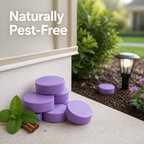 Pestavexa™ — Enjoy a Safe, Pest-Free Home Without Toxins or Traps