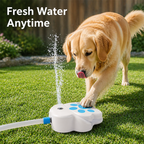 AquaPaw™ — Let Your Dog Quench Their Thirst Anytime, All on Their Own