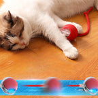 PulsePounce™ — Ignite Your Cat’s Wild Instincts for Hours of Thrilling Play and Healthier Teeth