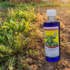 VerdantaShield™ — Crush Weeds Fast and Fuel Your Biggest, Healthiest Harvest Yet