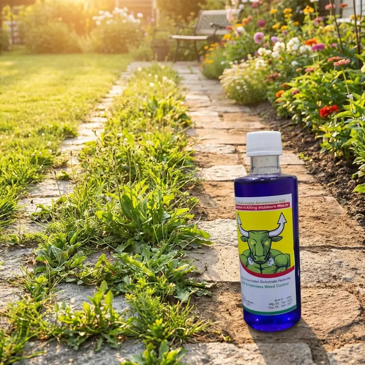 VerdantaShield™ — Crush Weeds Fast and Fuel Your Biggest, Healthiest Harvest Yet
