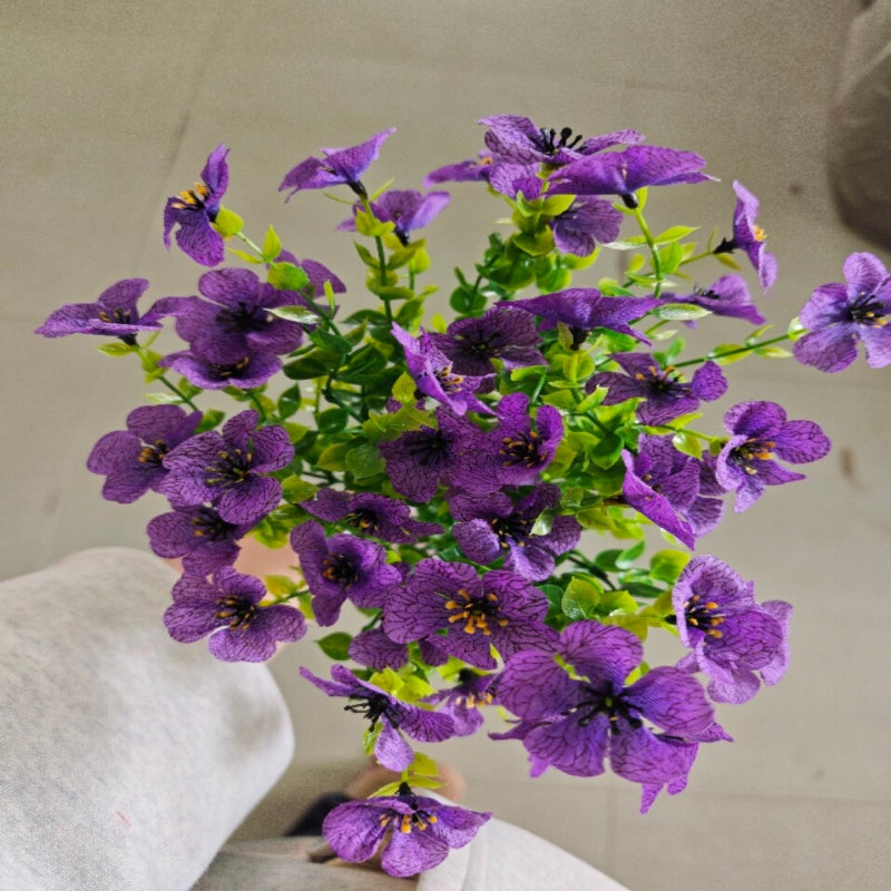 VivaFlora™ — Endless Blooming Beauty That Brightens Every Day Without Effort