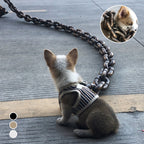 ChicPaw™ — Unleash Stylish Freedom and Confidence on Every Walk