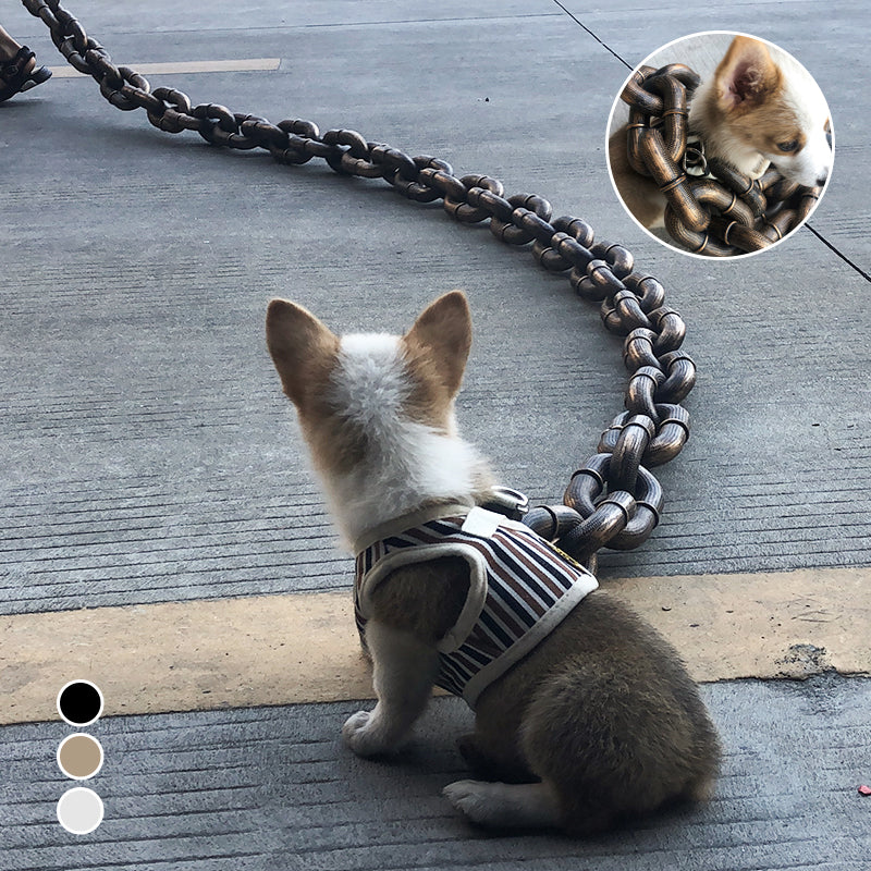 ChicPaw™ — Unleash Stylish Freedom and Confidence on Every Walk