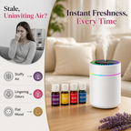 Hushbloom™ — Make Every Room Feel Like a Fresh Start