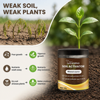 Florivanta™ Soil Energizer — Ignite Explosive Growth and Deep-Rooted Garden Vitality