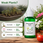 VerdantaRise™ — Ignite Lush Growth and Stunning Blooms That Steal the Show