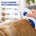 PulsePaw™ Electric Flea Comb — Gentle Power That Frees Your Pet from Itch and Stress Instantly