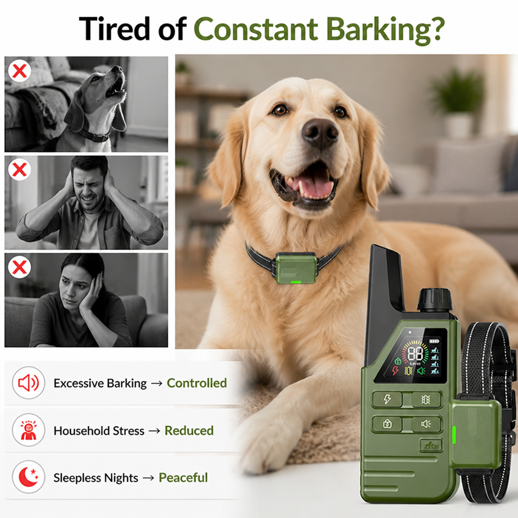 CalmPaw™ — Enjoy More Peaceful Moments With Your Dog