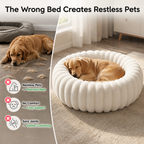 SnuggleHaven™ — Their Own Cozy Little Nest for Dreamy, Supported Naps