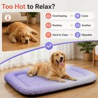 FrostLounge™ — Help Your Pet Lounge More Comfortably on Hot Days