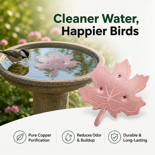 AquaLeaf™ — Keep Your Bird Bath Crystal Clear and Irresistibly Fresh Every Day