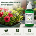 VitaBloom™ — Ignite Unstoppable Growth and Show-Stopping Blooms Every Season
