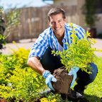 TerraPulse™ Soil Reviver — Ignite Explosive Growth with Soil That Feeds, Drains, and Thrives