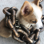 ChicPaw™ — Unleash Stylish Freedom and Confidence on Every Walk