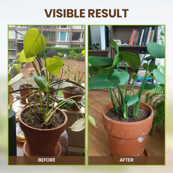 TerraPulse™ Soil Reviver — Ignite Explosive Growth with Soil That Feeds, Drains, and Thrives