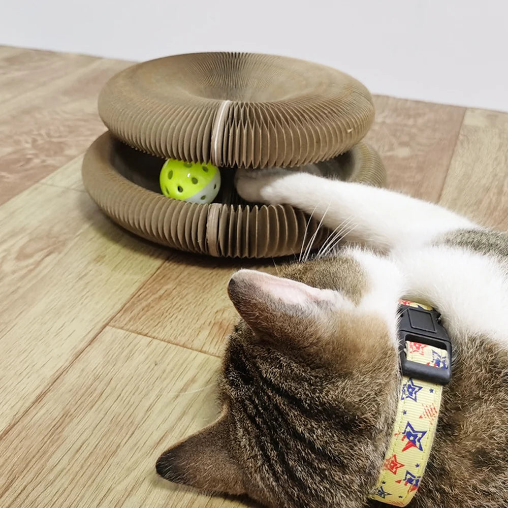 ClawVista™ Fold & Play Scratch Board — Turn Your Cat’s Claws Into Happy Play, Not Furniture Fury