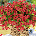 VivaFlora™ — Endless Blooming Beauty That Brightens Every Day Without Effort
