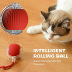 PulsePounce™ — Ignite Your Cat’s Wild Instincts for Hours of Thrilling Play and Healthier Teeth