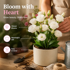 RamiraBloom™ — Ignite Your Garden with Endless Color and Heartfelt Beauty