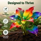 VerdureVibe™ Rare Hosta Seeds — Turn Shady Spots into Your Own Lush, Vibrant Garden Escape