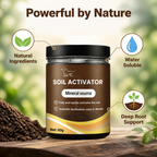 Florivanta™ Soil Energizer — Ignite Explosive Growth and Deep-Rooted Garden Vitality