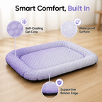 FrostLounge™ — Help Your Pet Lounge More Comfortably on Hot Days
