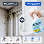 MoldShield™ — Eradicate Mold Instantly and Enjoy a Safe, Fresh Home Forever