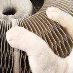 ClawVista™ Fold & Play Scratch Board — Turn Your Cat’s Claws Into Happy Play, Not Furniture Fury