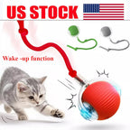 PulsePounce™ — Ignite Your Cat’s Wild Instincts for Hours of Thrilling Play and Healthier Teeth