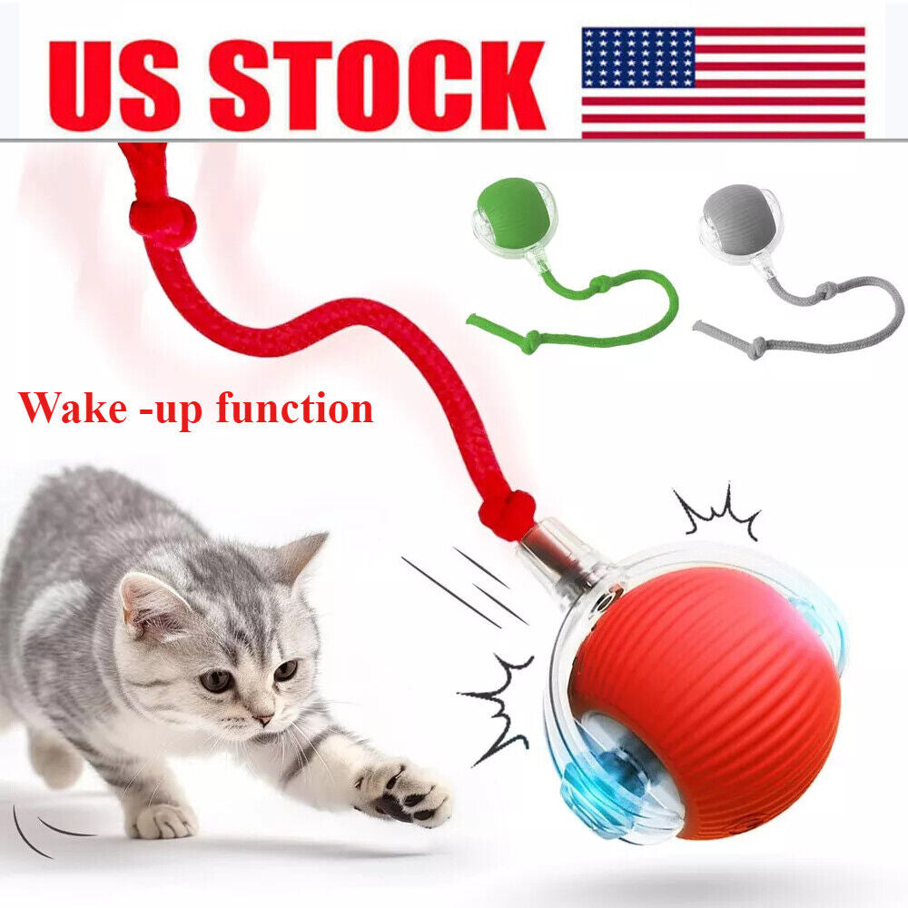 PulsePounce™ — Ignite Your Cat’s Wild Instincts for Hours of Thrilling Play and Healthier Teeth