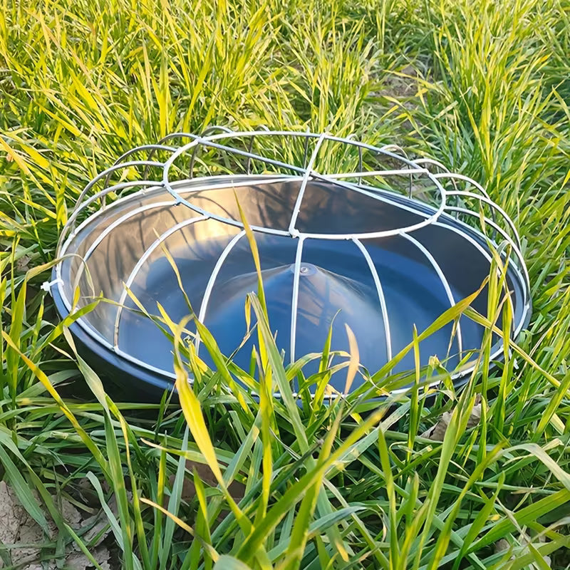 AviFeast™ — Bring Peace, Order, and Plenty to Every Bird’s Meal