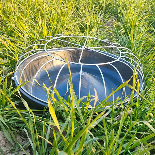 AviFeast™ — Bring Peace, Order, and Plenty to Every Bird’s Meal