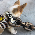 ChicPaw™ — Unleash Stylish Freedom and Confidence on Every Walk