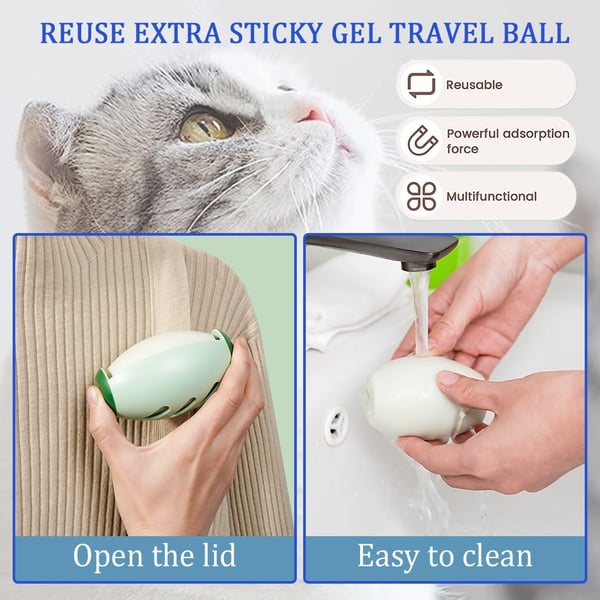 EvergreenSweep™ — Effortlessly Erase Pet Hair and Look Flawless Every Time