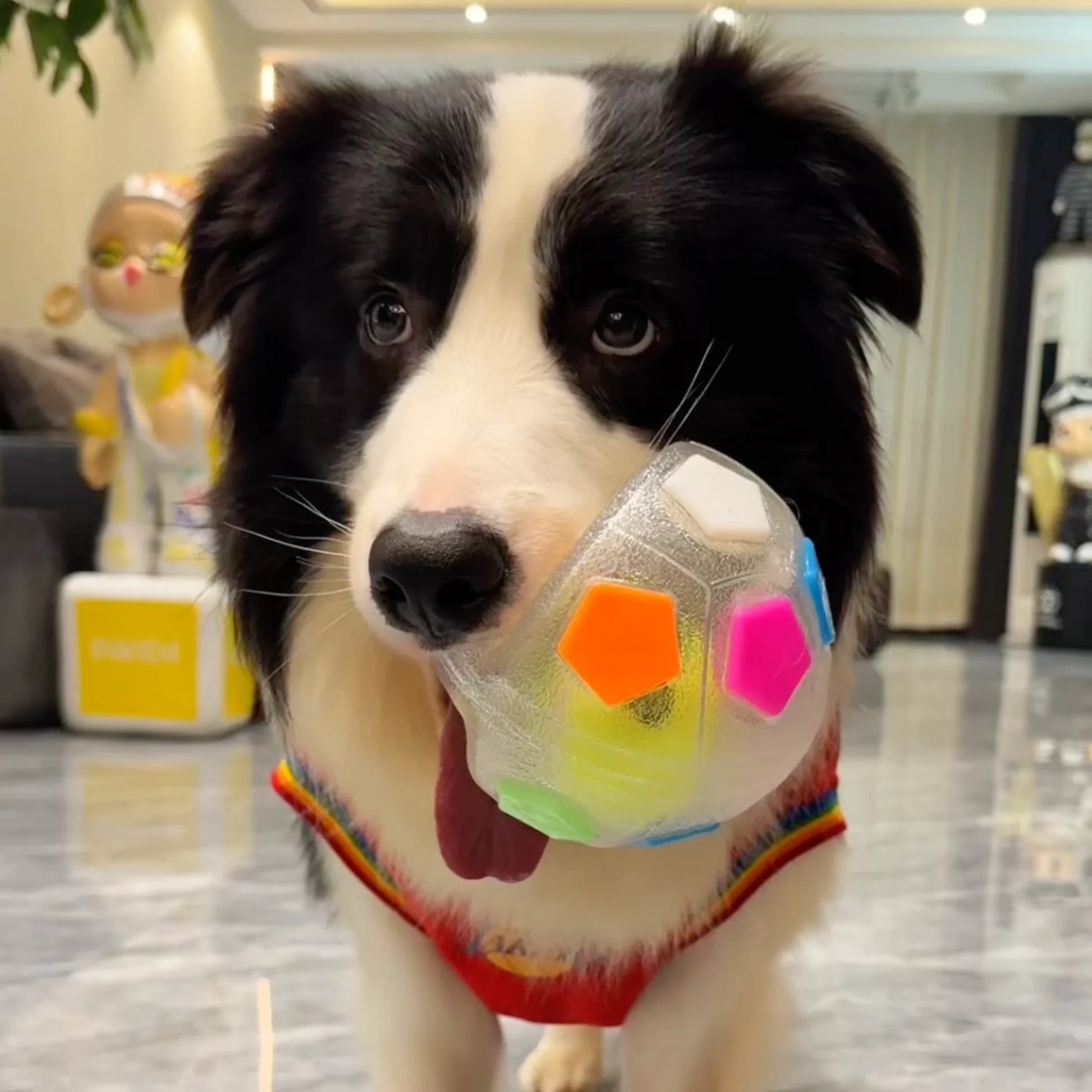OrbitPup™ — Ignite Your Dog’s Energy and Spark a Healthy, Happy Smile