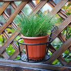 Lumecrest™ — Make Your Plants the Center of Attention Without the Hassle