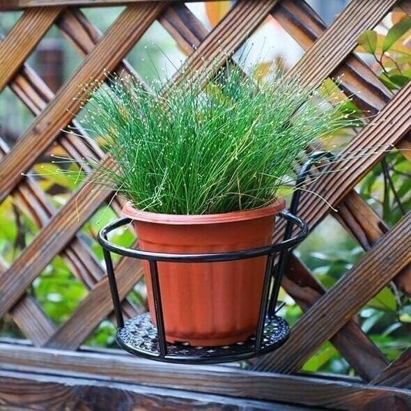 Lumecrest™ — Make Your Plants the Center of Attention Without the Hassle