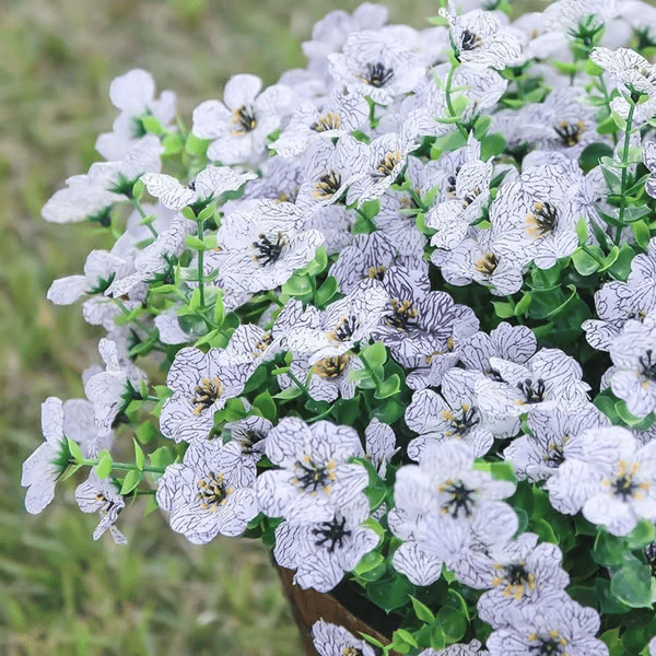 VivaFlora™ — Endless Blooming Beauty That Brightens Every Day Without Effort