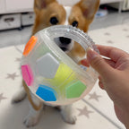 OrbitPup™ — Ignite Your Dog’s Energy and Spark a Healthy, Happy Smile