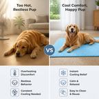 GlacierPaw™ — Ultimate Cool Comfort That Turns Heat Into Happy Calm