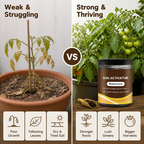 TerraPulse™ — Ignite Explosive Growth and Transform Your Garden into a Lush Paradise